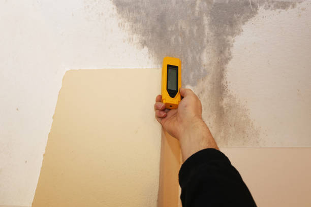 Best Post-Construction Mold Inspection  in Pittsburg, CA