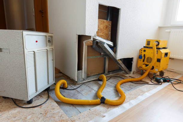 Best Mold Removal for HVAC Installations  in Pittsburg, CA