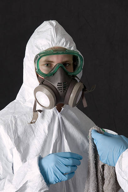 Trusted Pittsburg, CA Mold Removal Experts